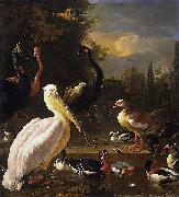 HONDECOETER, Melchior d A Pelican and Other Birds Near a Pool, oil painting reproduction